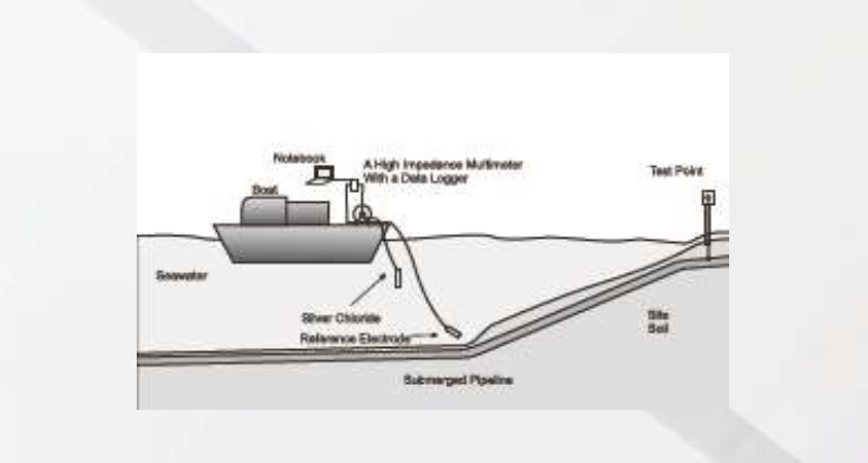 Survey for Nearshore